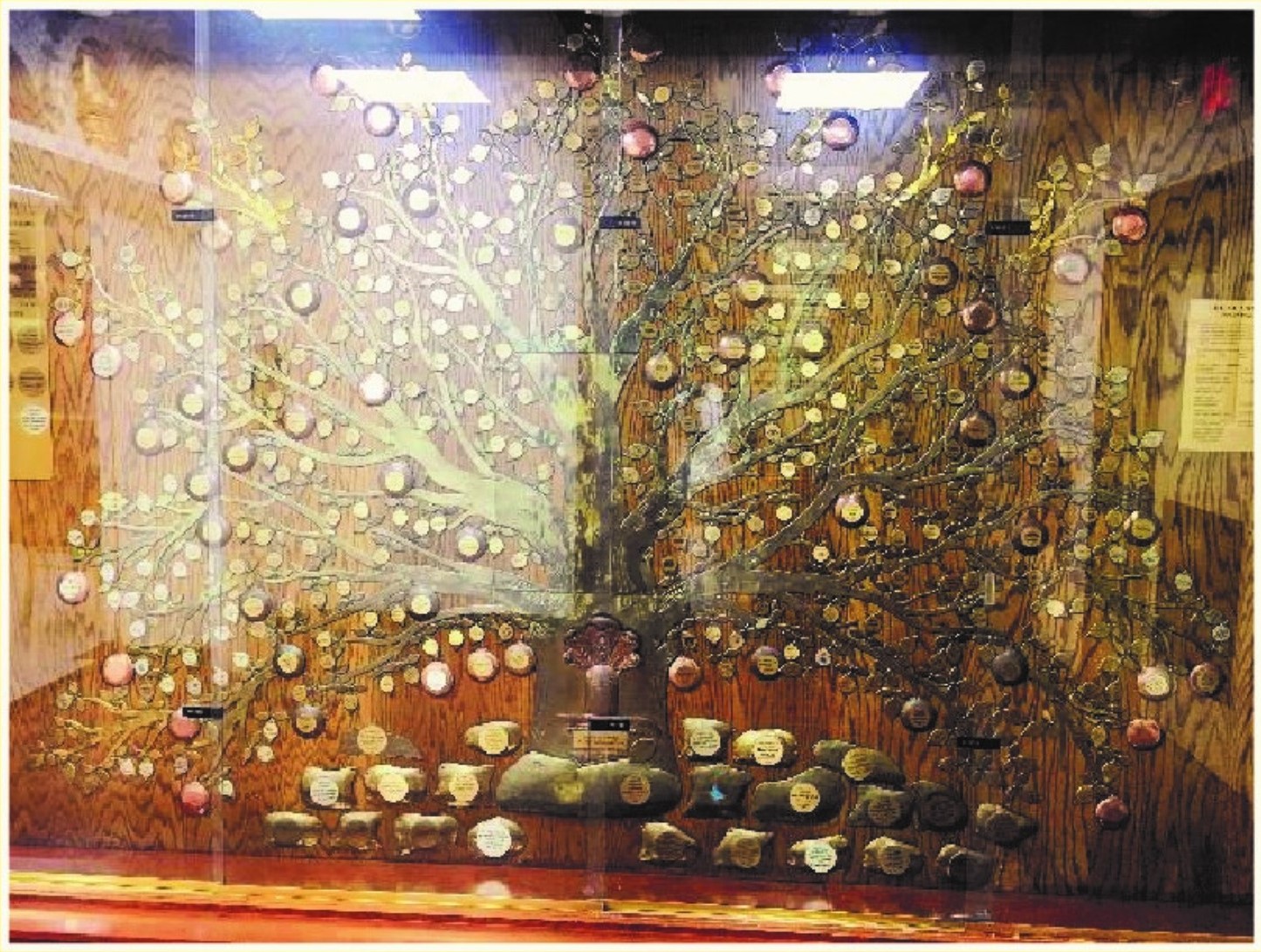 Miracle Tree Sponsorship Options
